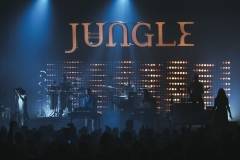 Jungle-18