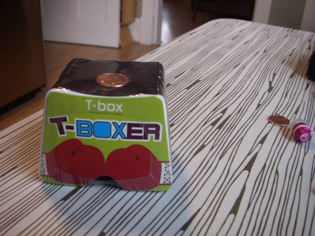 T-Box Boxer image