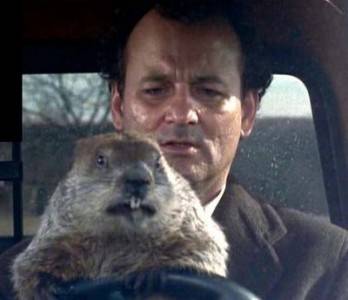 groundhog day sequel friendly flicks groundhog day sequel friendly flicks