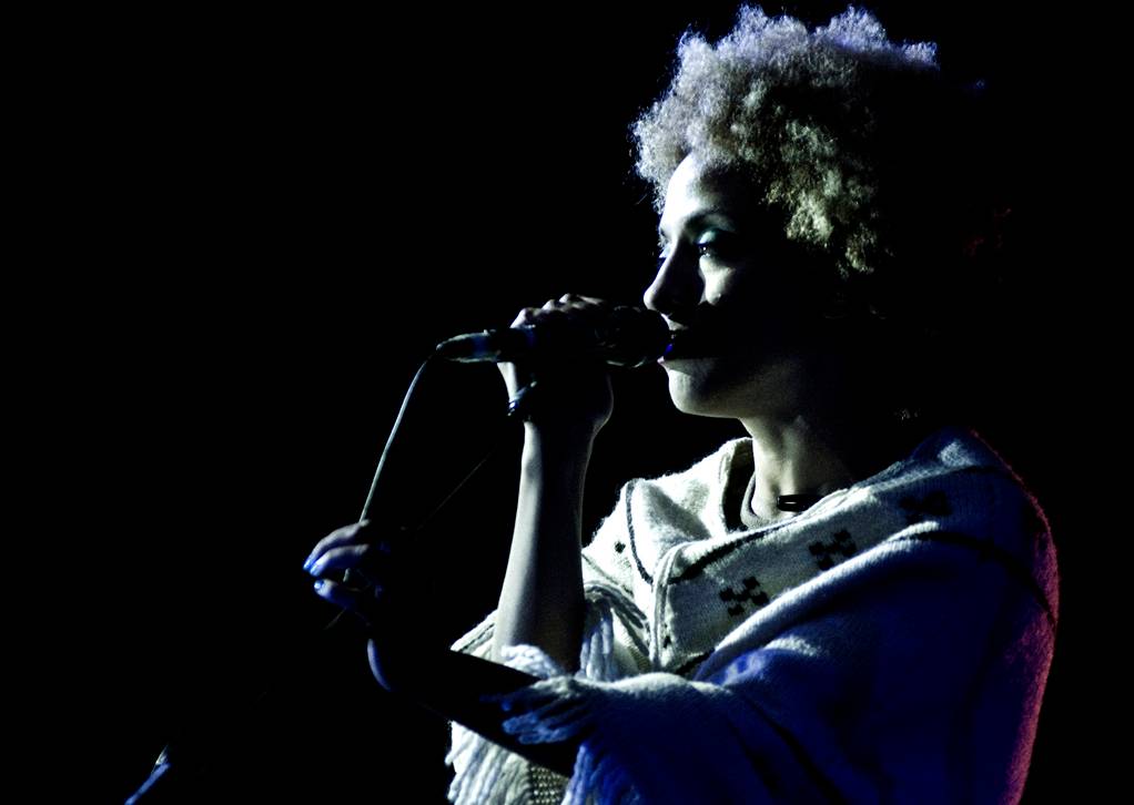 Photo of singer at Massive Attack concert at Malkin Bowl, Vancouver, May 29 2010.