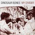 Dinosaur Bones album cover My Divider