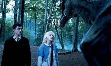 Harry Potter and the Order of the Phoenix still image.