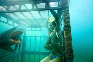 Sara Paxton in Shark Night 3D image