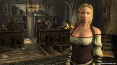 busty wench from The Elder Scrolls V: Skyrim image