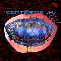 Animal Collective Centipede Hz album cover image