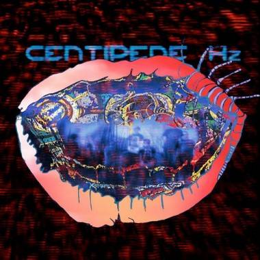 Animal Collective Centipede Hz album cover image