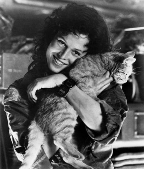 Sigourney Weaver with Jones the Cat
