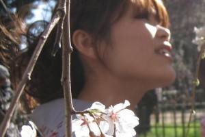 The Tsunami and the Cherry Blossom