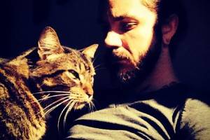 Bands with cats