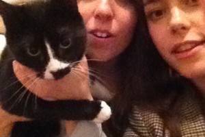 Bands With Cats featuring FRANKIE