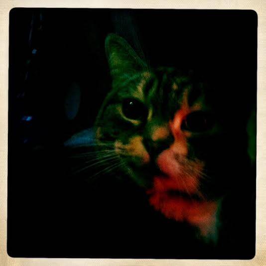 catlow 2