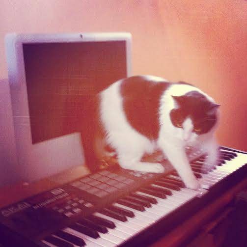 meow meow piano