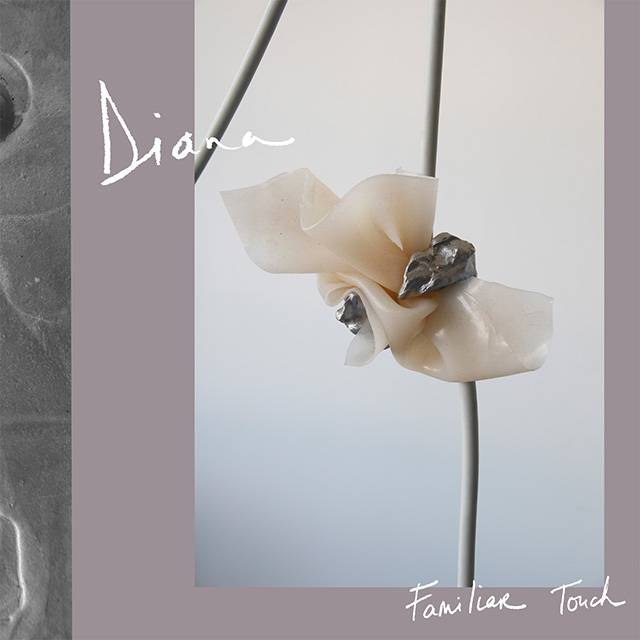 Diana band Familiar Touch album cover