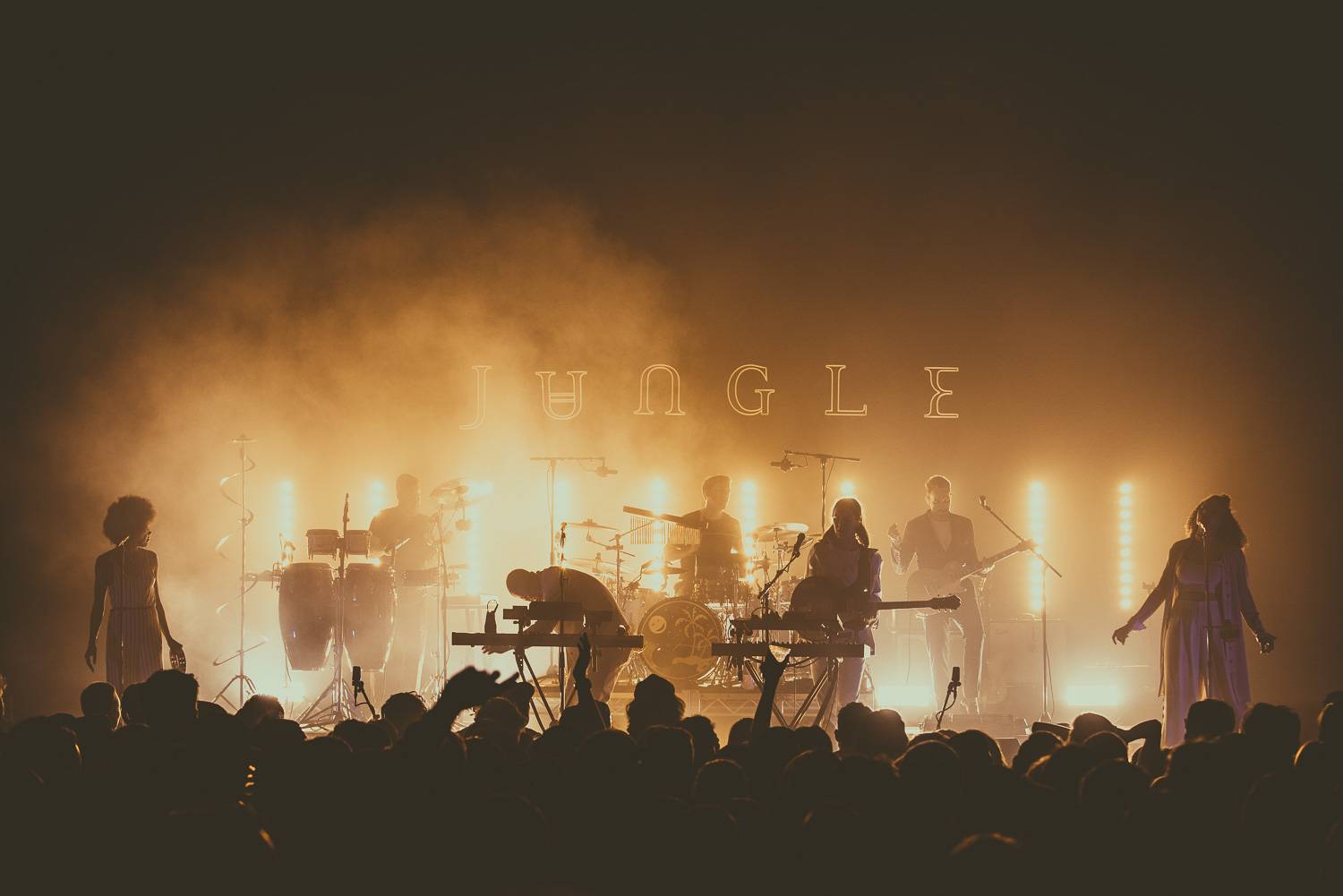 Jungle at the Vogue, Vancouver, April 3 2018. Pavel Boiko photo. 