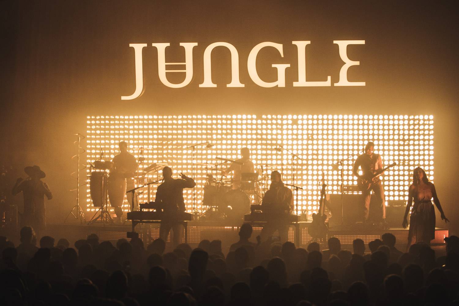Jungle at the Vogue Theater, Vancouver, March 9, 2019. Pavel Boiko photo.