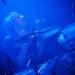 black-mountain-06