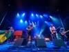 Sheepdogs1