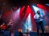 Sheepdogs6
