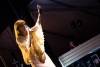 florence-and-the-machine-14