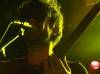 1foals
