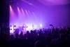 goldfrapp-06