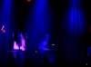 l_grizzly_bear