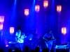 n_grizzly_bear