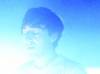 o_grizzly_bear
