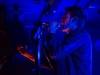 hippo-campus-02