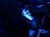 hippo-campus-13