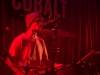 hippo-campus-20