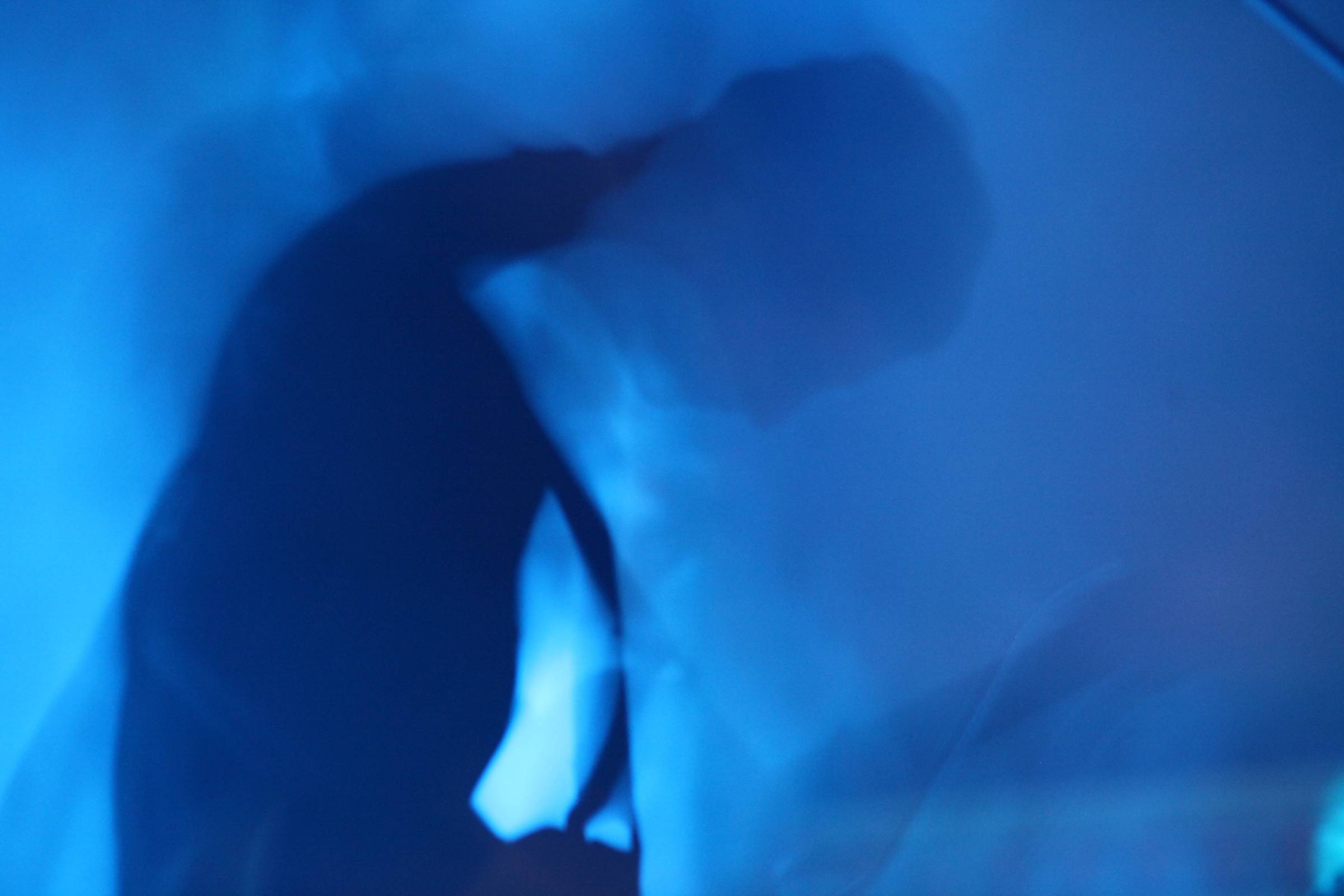 interpol-at-the-orpheum-theatre