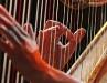 joanna-newsom-6