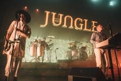 Jungle-15