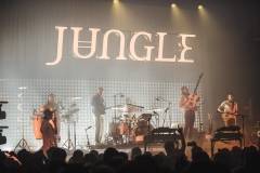 Jungle-21