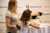 meowfest-06