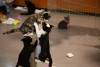 meowfest-12