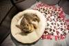 meowfest-42