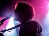 plantsandanimals-1