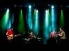 plantsandanimals-13