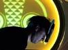 sbtrkt_fortune_vancouver_dsc_2418