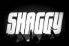 Shaggy-00