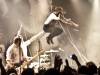 the_hives_20