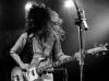 sheepdogs_4