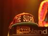 The Suzan at the Commodore Ballroom