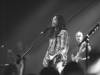 Temper-Trap-13