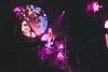 VIFF-Live-Oct-3-32