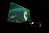 viff-the-green-frog-06