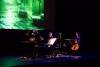 viff-the-green-frog-08