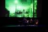 viff-the-green-frog-09